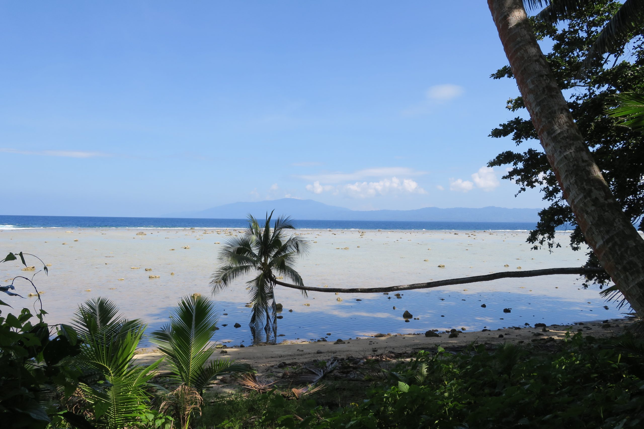 Zaru Hotel - Sea Discovery